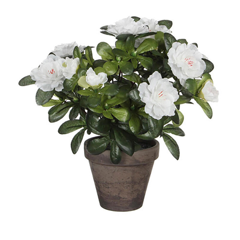 azalea-artificial-blanca-en-tiesto-gris-o115x27cm