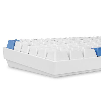 teclado-aleman-sharkoon-skiller-sgk50-s3-pbt-gaming-blancoazul-claro-disposicion-de-gateron-g-pro-30-amarillo-4044951039197