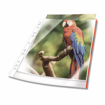 durable-265503-protector-de-hojas-a4-polipropileno-pp-25-piezas