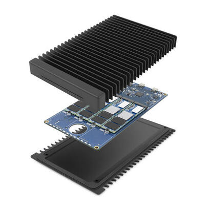 owc-thunderblade-caja-externa-para-unidad-de-estado-solido-ssd-negro-m2