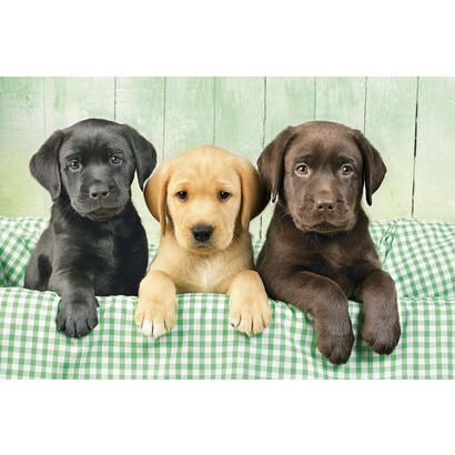 puzzle-los-tres-labradores-1000pzs