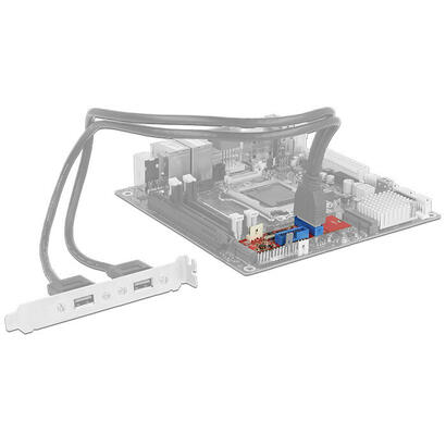 delock-62843-tarjeta-y-adaptador-de-interfaz-interno-usb-32-gen-1-31-gen-1-convertidor-m2-usb-32-gen-1-31-gen-1-renesas-5-gbits-