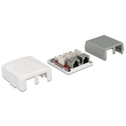 delock-86197-roseta-con-2-toma-red-cat-6a-lsa-de-pared