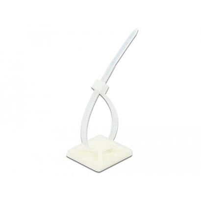 base-de-fijacion-de-delock-25-x-25-mm-con-union-de-cable-l-150-x-w-36-mm-de-blanco-10-pares-18677