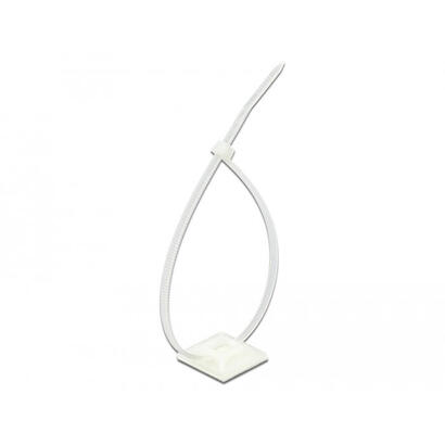 base-de-fijacion-de-delock-25-x-25-mm-con-corbata-de-cable-l-300-x-w-48-mm-white-10-pares-18834