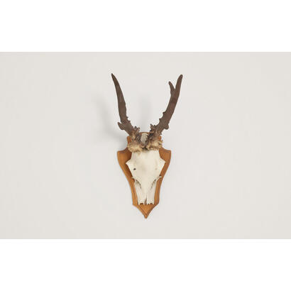 fischer-heltsklammer-gray-20-piezas-para-la-audicion-de-ciervos-y-el-krucken-073121