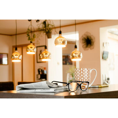 segula-55058-lampara-led-blanco-calido-1900-k-6-w-e27