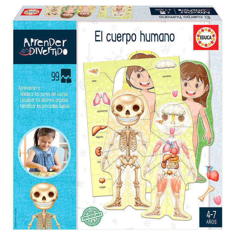 educa-aprender-es-divertido-el-cuerpo-humano