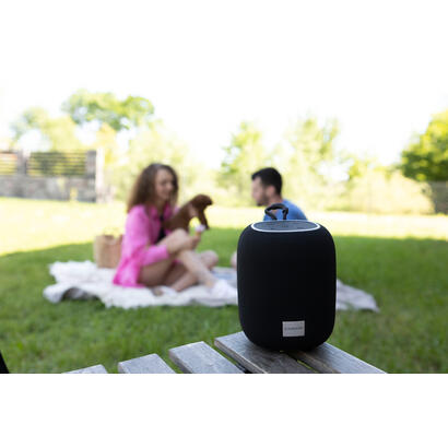 canyon-bluetooth-speaker-bsp-8-tf-reader-usb-c-10w-negro-retail