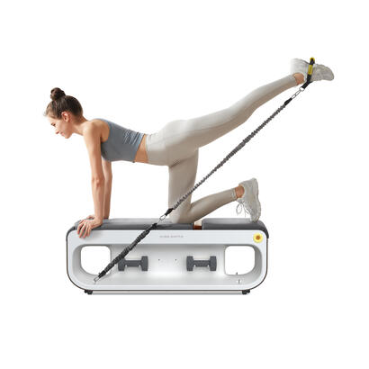 kingsmith-fbb1c-multiestacion-de-ejercicio-biceps-pecho-forearms-hombros