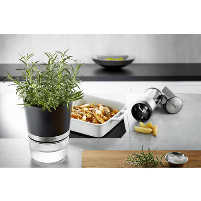 gefu-botanico-herb-pot