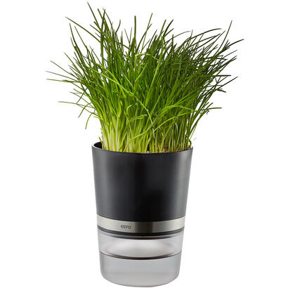 gefu-botanico-herb-pot