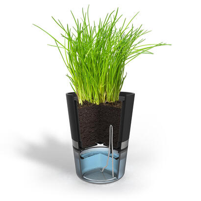 gefu-botanico-herb-pot