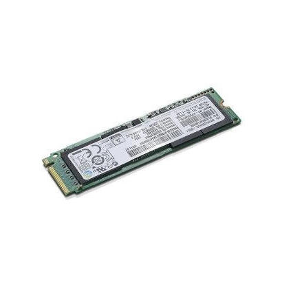 256gm22280pcie3x4tosopal