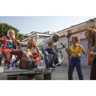 jbl-wireless-microphone-2-pack-black jbl-wireless-microphone-2-pack-black