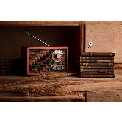 radio-adler-ad-1171-retro-with-bluetooth-brown