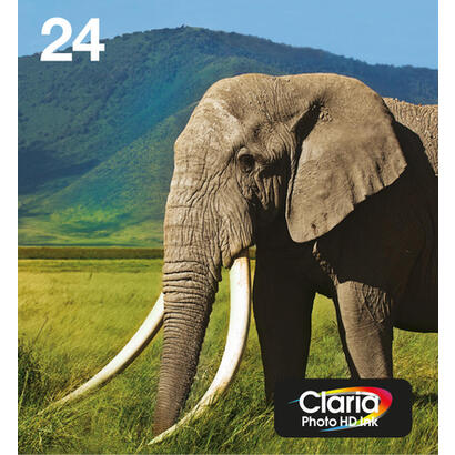 epson-24-multipack-easy-mail-packaging-paquete-de-6-291-ml-negro-amarillo-cian-magenta-magenta-claro-cian-claro-original-caja-ca