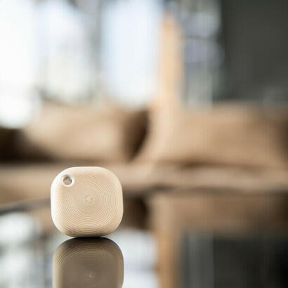 shelly-blu-button-tough1-boton-moca-shellybbtm