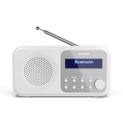 radio-sharp-dr-p420-dabbt-weia