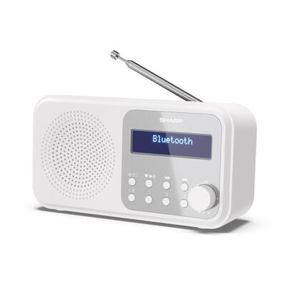 radio-sharp-dr-p420-dabbt-weia