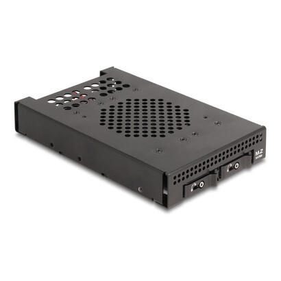 delock-47070-rack-movil-de-35-para-2-x-ssd-m2-nvme-con-conector-oculink-sff-8612-delgado