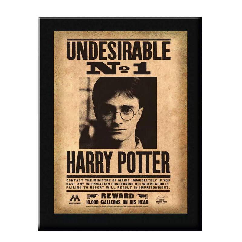 replica-placa-undesirable-n1-harry-potter