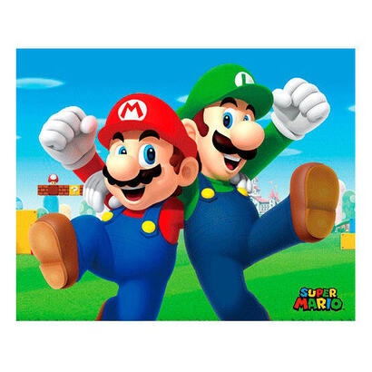 cuadro-3d-mario-y-luigi-super-mario