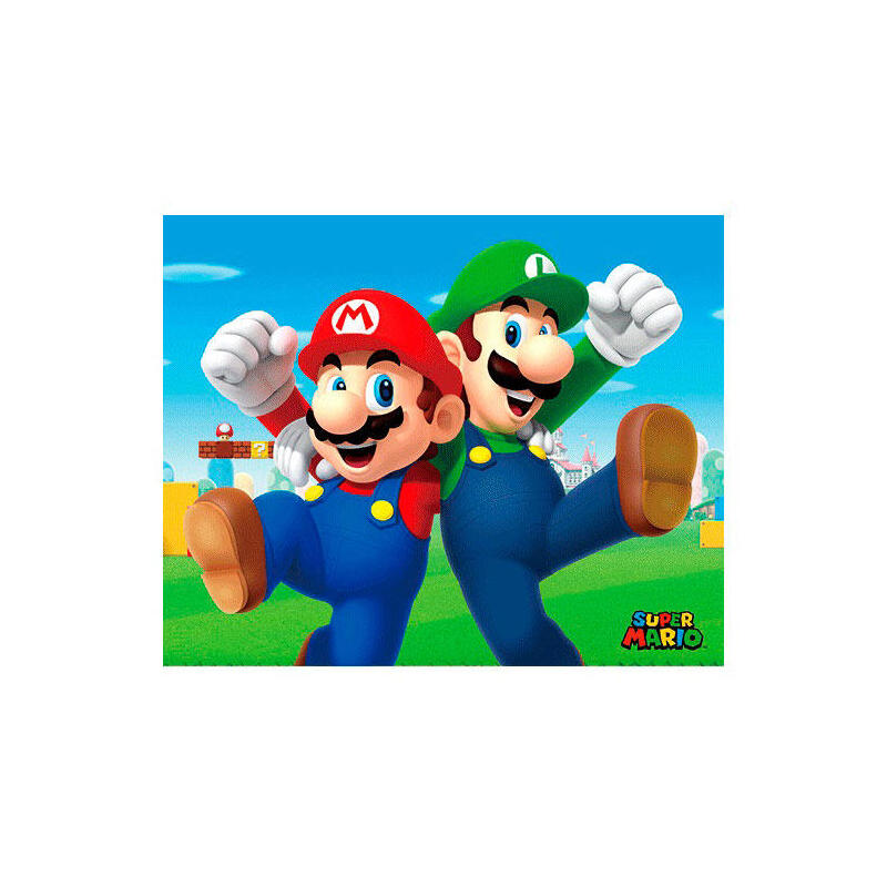 cuadro-3d-mario-y-luigi-super-mario