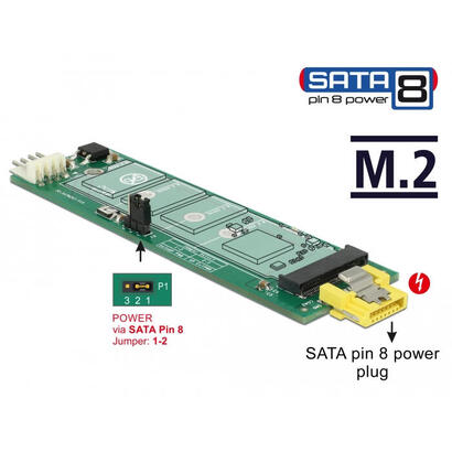 delock-63917-convertidor-sata-8-pines-de-potencia-hembra-ranura-m2-key-b