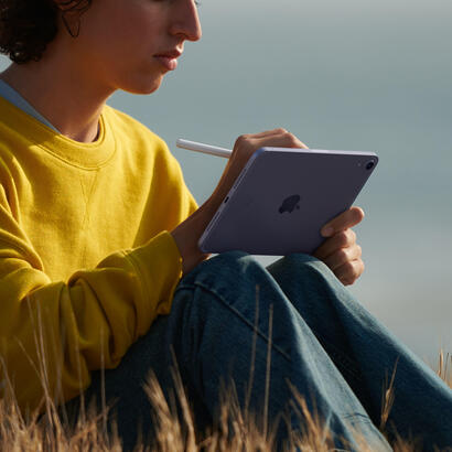 apple-ipad-mini-5g-td-lte-fdd-lte-64-gb-211-cm-83-wi-fi-6-80211ax-ipados-15-oro-rosa