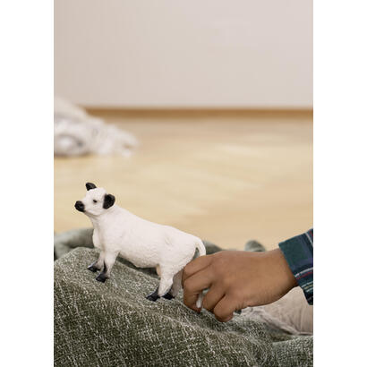 figura-schleich-farm-world-galloway-kuh-13960