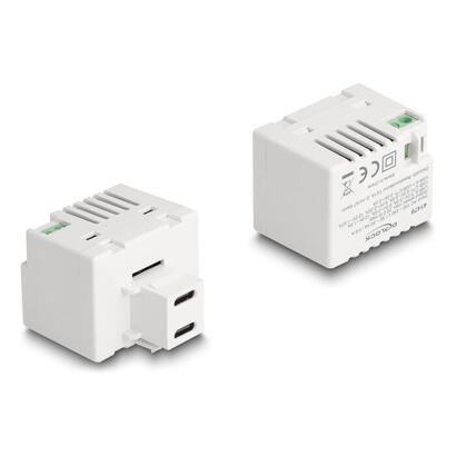 delock-41479-modulo-keystone-con-2-puertos-de-carga-usb-type-c-pd-20-w-blanco