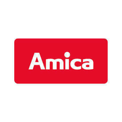 amica-fd3011