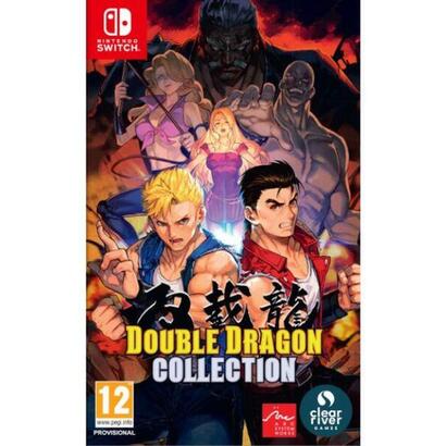 juego-double-dragon-collect-switch