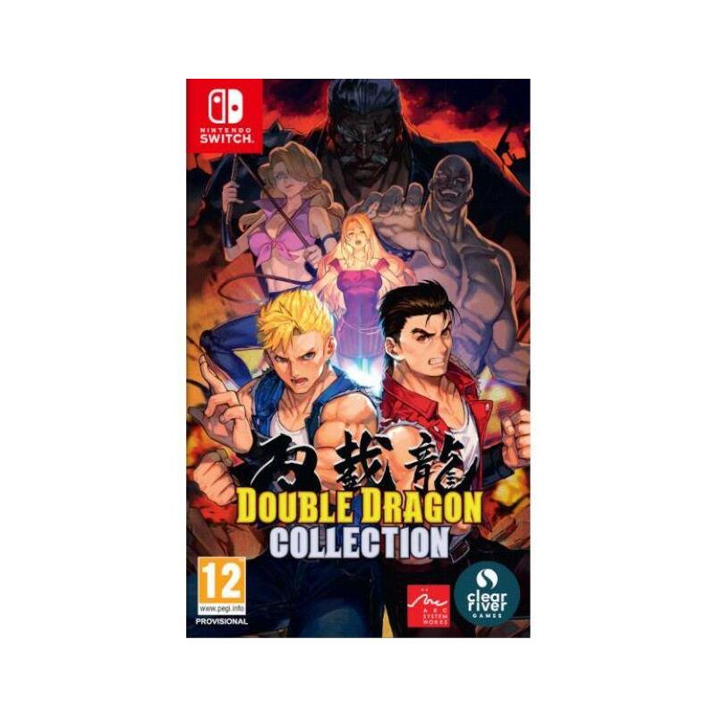 juego-double-dragon-collect-switch