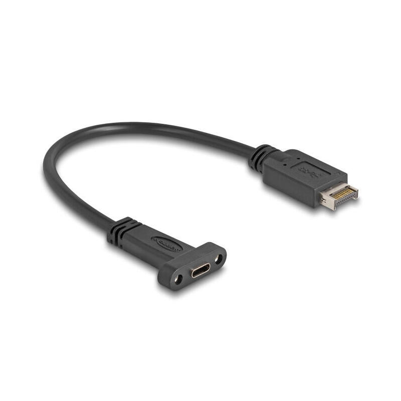 delock-85454-cable-usb-10-gbps-key-usb-tipo-e-a-de-20-pines-macho-a-usb-type-c-hembra-de-montaje-en-panel-de-25-cm