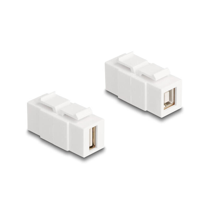 delock-87951-el-modulo-keystone-usb-20-tipo-a-hembra-a-usb-20-tipo-b-hembra-blanco-se-puede-instalar-en-ambos-lados delock-87951-el-modulo-keystone-usb-20-tipo-a-hembra-a-usb-20-tipo-b-hembra-blanco-se-puede-instalar-en-ambos-lados