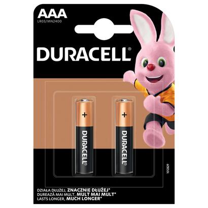 duracell-basic-mn2400-aaa-bl2