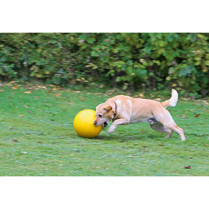 kerbl-pelota-interactiva-para-perros-amarilla-30-cm