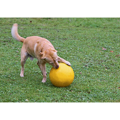 kerbl-pelota-interactiva-para-perros-amarilla-30-cm