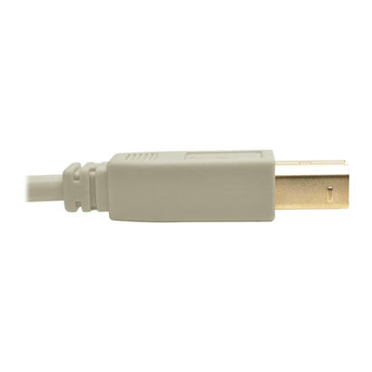 tripp-lite-u022-006-be-cable-usb-usb-11-18-m-usb-a-usb-b