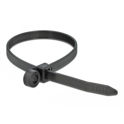 delock-18953-presilla-brida-de-entrada-paralela-poliamida-negro-10-piezas