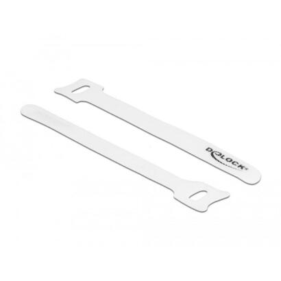 delock-19519-presilla-bridas-adherentes-para-cables-blanco-10-piezas