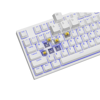 genesis-thor-404-tkl-biala-rgb-gateron-yellow-pro