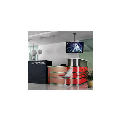 flat-screen-ceiling-mount-bt8427-tv-70-kg-1651-cm
