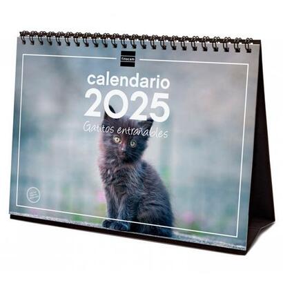 finocam-calendario-de-sobremesa-para-escribir-s-210x150mm-imagenes-gatitos-2025