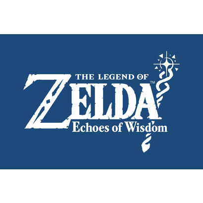 switch-the-legend-of-zelda-echoes-of-wisdom