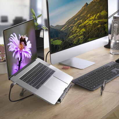 docking-station-hama-usb-tipo-c-12-en-1