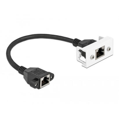 delock-netzwerk-verlangerungscable-fur-easy-45-modul-s-ftp-rj45-buchse-zu-rj45-buchse-cat6a-25-cm-schwarz-weiss