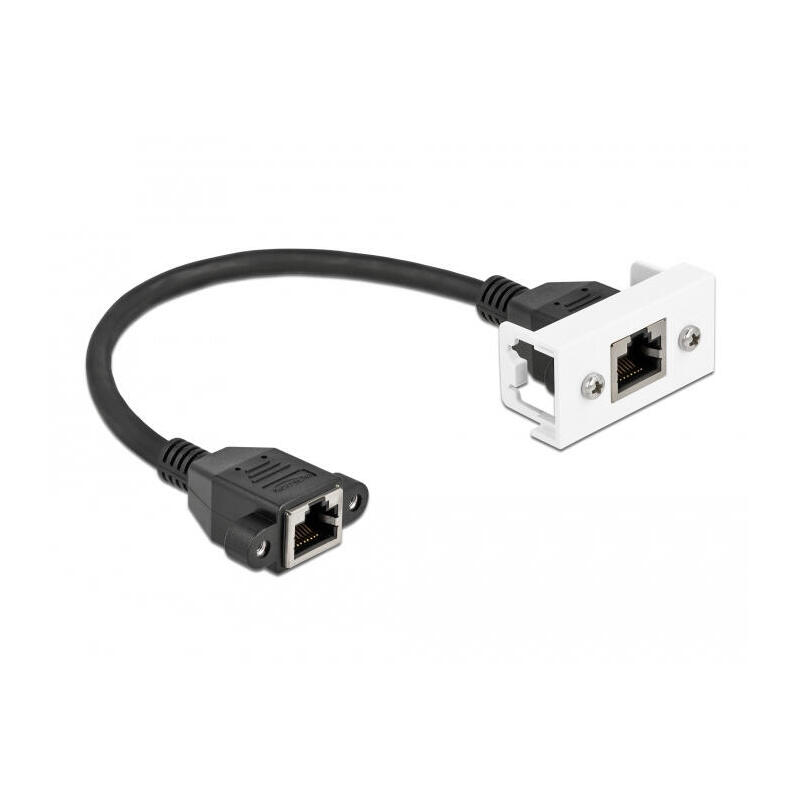 delock-netzwerk-verlangerungscable-fur-easy-45-modul-s-ftp-rj45-buchse-zu-rj45-buchse-cat6a-25-cm-schwarz-weiss